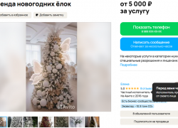 Брать новогодние ёлки в аренду предложили жителям Воронежа 