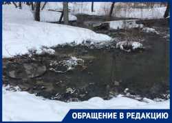 Видеодневник коммунального безразличия ведет воронежец на берегу фекального пруда 
