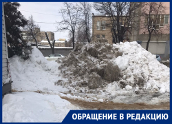 Грязную кучу раздора навалили в Воронеже