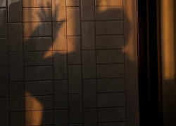 Чем порадует погода воронежцев на грядущей неделе?