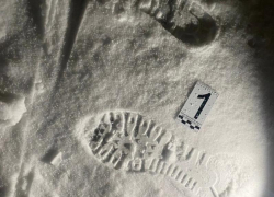 Убийцу воронежской учительницы объявили в федеральный розыск