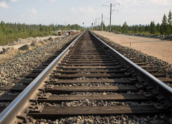 Мужчина погиб под колесами поезда в Воронежской области