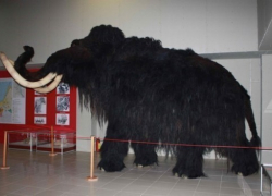 В Воронежской области в музее Костенки откроются новые экспозиции