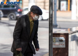 Пенсионер камнем проломил школьнику голову в Воронеже 