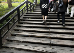 В полтора миллиона рублей может обойтись ремонт деревянной лестницы в Центральном парке Воронежа