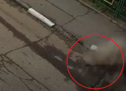 Момент взрыва асфальта из-за испытаний «Квадры» попал на видео в Воронеже