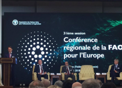 Алексей Гордеев призвал к агроэкологии в Воронеже