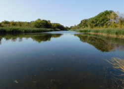 Водные памятники природы Воронежа отмечают полувековой юбилей