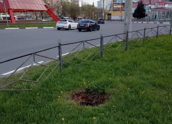 "Никому и дела нет": на открытый люк пожаловалась жительница Воронежа