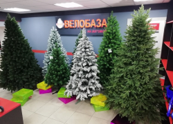 Воронежская "Велобаза" зовет за новогодними покупками