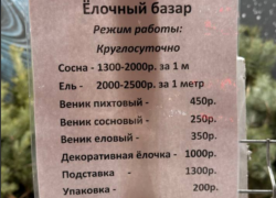 Цены на елки шокируют воронежцев 