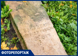 Что представляет из себя старейшее кладбище Воронежа, которое чуть не застроили коттеджами