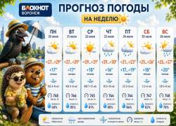 Воронежцев ждет жаркая неделя с дождливым финалом: прогноз погоды на неделю