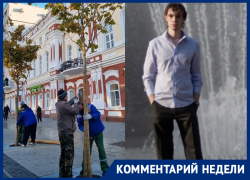 «Погибает все зеленое»: подготовку деревьев к зимовке прокомментировал воронежский эксперт 