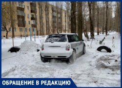 Чтобы пристыдить дворников, воронежцу пришлось взять в руки лопату