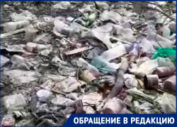 «5 лет не убирается дворник»: воронежцы попросили помощи Кстенина в связи с помойным завалом