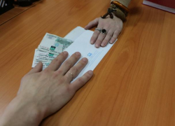 Директора воронежского учебного заведения обвинили в получении восьми взяток 