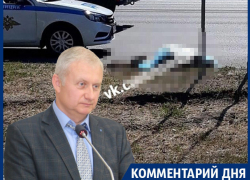 В гибели пешехода под колесами маршрутки увидели вину чиновника мэрии Воронежа