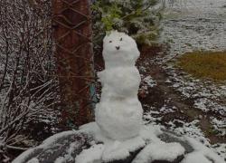 Первого снеговика заметили в Воронеже