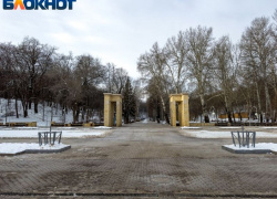 Московское микропредприятие обрушило цену на саженцы для Центрального парка Воронежа