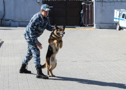 Цех по незаконному производству оружия раскрыли в Воронеже