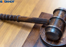 Дочери воронежского экс-префекта отсрочили наказание за махинации с землей 