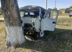 Водитель “УАЗика” погиб при столкновении с деревом в Воронежской области