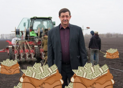 Воронежский единоросс Алименко за год разбогател на 26 млн рублей