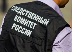 Встреча приятелей закончилась убийством в Воронеже