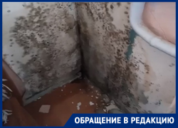 Плесень и холодные батареи: семья с младенцем выживает в воронежской квартире 