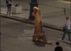 Странный пешеход выбрался на прогулку в центре Воронежа