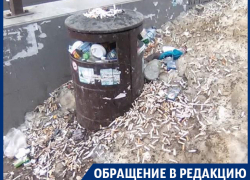 Растаявший снег открыл срам возле политеха в Воронеже