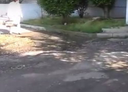 Возмущенные воронежцы сняли на видео хлещущую из трубы воду, коварно обдающую прохожих 