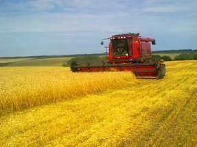 Воронежские аграрии намолотили третий миллион тонн зерна на полях региона
