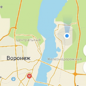 На краю Воронежа час назад встал поезд Москва-Владикавказ и дальше не едет
