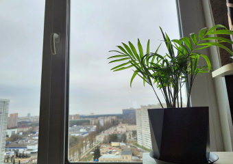 Один БПЛА сбили в небе над одним из районов Воронежской области 