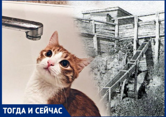 Главный ресурс, который больше 150 лет назад получили воронежцы, теряется почти ежедневно