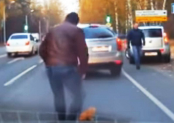 Спасение рыжего котенка на воронежской дороге попало на видео