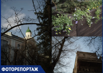 Не только подснежники: как Воронеж просыпается после зимней спячки