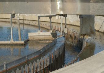 Прокуратура наехала на Водоканал из-за жесткого загрязнения ЛОСами Воронежского водохранилища
