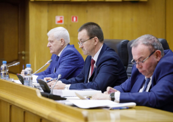 Воронежские депутаты начали делать то, чего не делали много лет