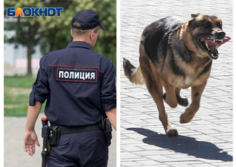 Собака покусала полицейского в Воронеже - он попал в больницу