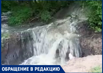 Мощный поток зловонных нечистот прорвался в воронежский лес