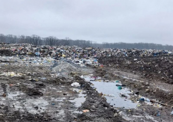 Незаконный мусорный полигон нанес вред природе на 11,5 млн рублей в Воронежской области