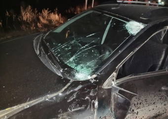 Уголовное дело возбудили после гибели 13-летнего мальчика в ДТП в Воронежской области