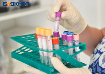 Бруцеллез у животных выявили в 700 метрах от жилого дома в воронежском селе