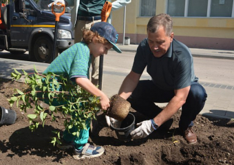 «Случайный русский символизм»: депутат возмутился уничтожением гортензий в центре Воронежа
