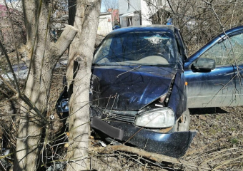 Мужчина погиб за рулём легковушки после столкновения с деревом в воронежском райцентре