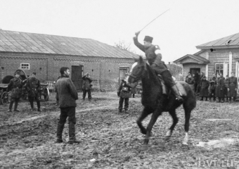 Кто и когда ответит за геноцид жителей Воронежской области 