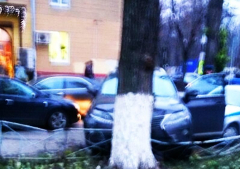 В центре Воронежа неадекватная барышня на «Лексусе» впечаталась в дерево у медуниверситета